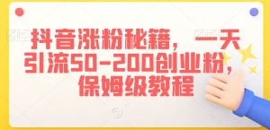 抖音涨粉秘籍,一天引流50-200创业粉,保姆级教程【揭秘】-赚金金-技能学习分享