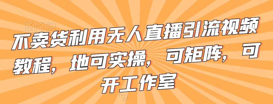 不卖货利用无人直播引流视频教程，地可实操，可矩阵，可开工作室【揭秘】-赚金金-技能学习分享