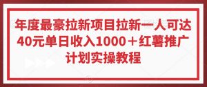 年度最豪拉新项目拉新一人可达40元单日收入1000+红薯推广计划实操教程【揭秘】-赚金金-技能学习分享