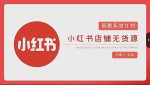 安琪-小红书店铺无货源实战,开店到售后全流程操作-赚金金-技能学习分享