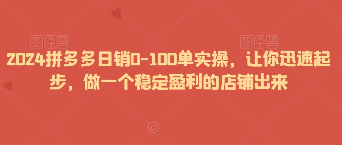 2024拼多多日销0-100单实操，让你迅速起步，做一个稳定盈利的店铺出来-赚金金-技能学习分享