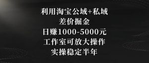 利用淘宝公域+私域差价掘金，日赚1000-5000元，工作室可放大操作，实操稳定半年【揭秘】-赚金金-技能学习分享