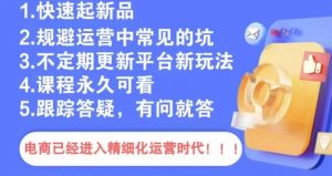 文西电商课程,规避运营中常见的坑-赚金金-技能学习分享