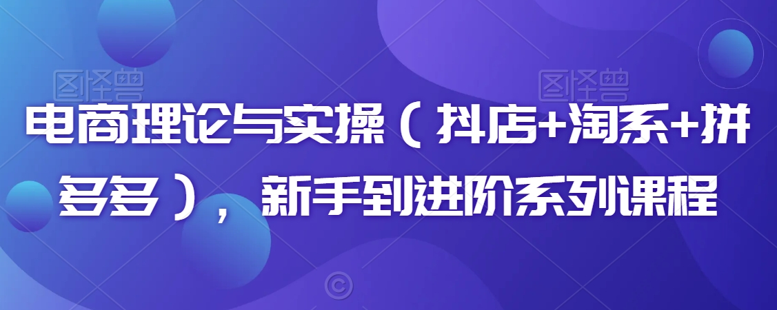 电商理论与实操（抖店+淘系+拼多多），新手到进阶系列课程-赚金金-技能学习分享