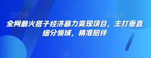 全网最火搭子经济暴力变现项目,主打垂直细分领域,精准陪伴【揭秘】-赚金金-技能学习分享