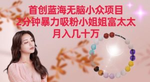 首创蓝海无脑小众项目,2分钟暴力吸粉小姐姐富太太,月入几十万【揭秘】-赚金金-技能学习分享
