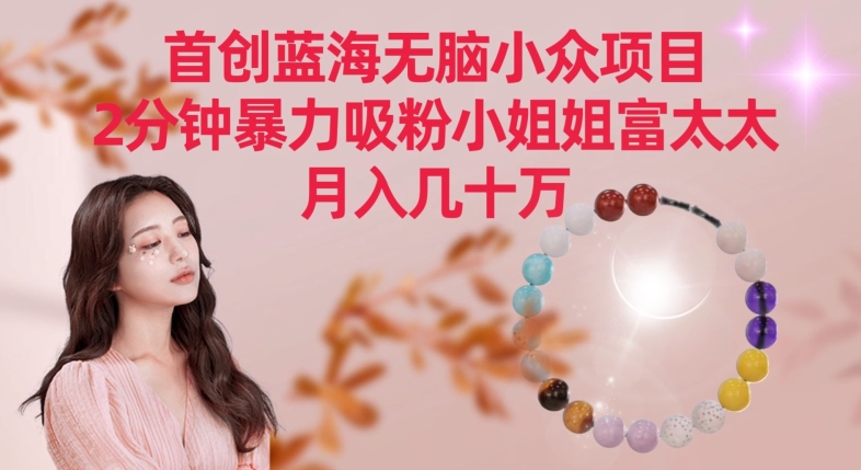 首创蓝海无脑小众项目，2分钟暴力吸粉小姐姐富太太，月入几十万【揭秘】-赚金金-技能学习分享