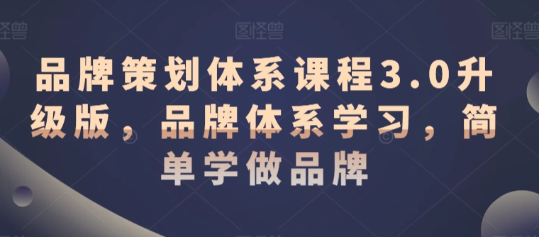 品牌策划体系课程3.0升级版，品牌体系学习，简单学做品牌-赚金金-技能学习分享