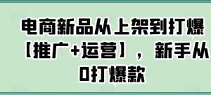电商新品从上架到打爆【推广+运营】，新手从0打爆款-赚金金-技能学习分享
