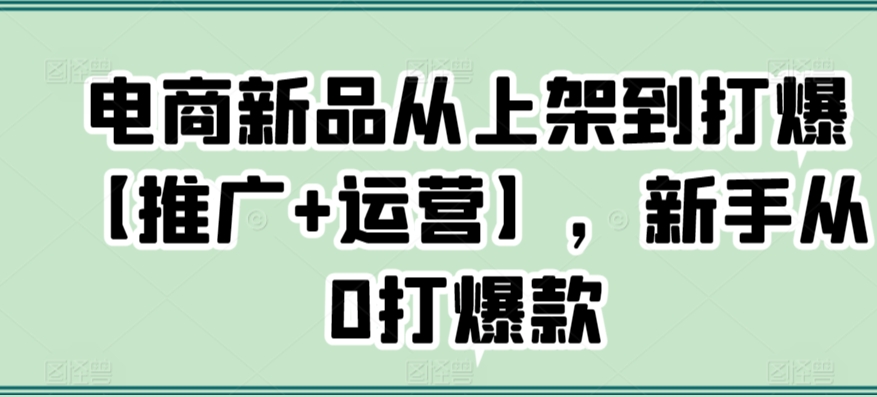 电商新品从上架到打爆【推广+运营】，新手从0打爆款-赚金金-技能学习分享