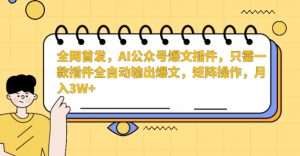 全网首发,AI公众号爆文插件,只需一款插件全自动输出爆文,矩阵操作,月入3W+【揭秘】-赚金金-技能学习分享