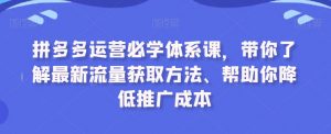 拼多多运营必学体系课,带你了解最新流量获取方法、帮助你降低推广成本-赚金金-技能学习分享