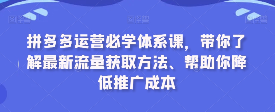 拼多多运营必学体系课，带你了解最新流量获取方法、帮助你降低推广成本-赚金金-技能学习分享