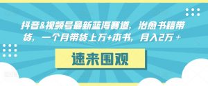 抖音&视频号最新蓝海赛道,治愈书籍带货,一个月带货上万+本书,月入2万+【揭秘】-赚金金-技能学习分享