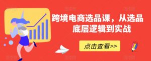 跨境电商选品课,从选品到底层逻辑到实战-赚金金-技能学习分享