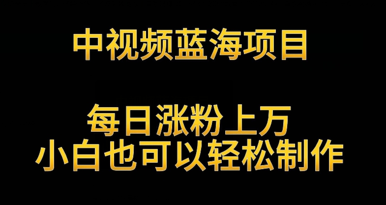中视频蓝海项目,解读英雄人物生平,每日涨粉上万,小白也可以轻松制作,月入过万不是梦【揭秘】-赚金金-技能学习分享