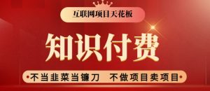 2024互联网项目天花板,新手小白也可以通过知识付费月入10W,实现财富自由【揭秘】-赚金金-技能学习分享