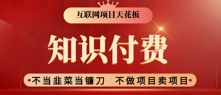 2024互联网项目天花板，新手小白也可以通过知识付费月入10W，实现财富自由【揭秘】-赚金金-技能学习分享