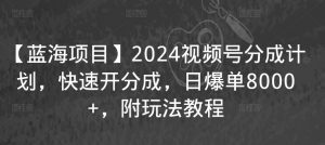 【蓝海项目】2024视频号分成计划,快速开分成,日爆单8000+,附玩法教程-赚金金-技能学习分享