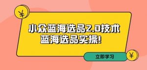 拼多多培训第33期:小众蓝海选品2.0技术-蓝海选品实操!-赚金金-技能学习分享
