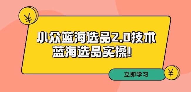 拼多多培训第33期：小众蓝海选品2.0技术-蓝海选品实操！-赚金金-技能学习分享