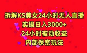 利用快手24小时无人美女直播,实操日入3000,24小时被动收益,内部保密玩法【揭秘】-赚金金-技能学习分享