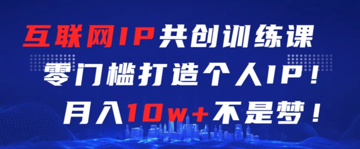 互联网IP共创训练课，零门槛零基础打造个人IP，月入10w+不是梦【揭秘】-赚金金-技能学习分享