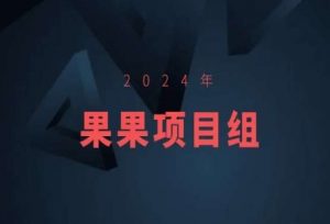2024年果果项目组项目合集-果果最新项目-赚金金-技能学习分享