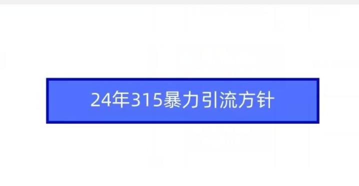 24年315暴力引流方针-赚金金-技能学习分享