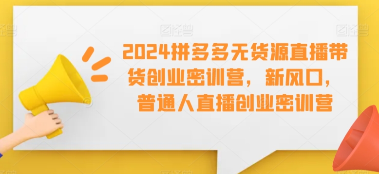 2024拼多多无货源直播带货创业密训营，新风口，普通人直播创业密训营-赚金金-技能学习分享