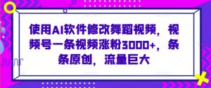 使用AI软件修改舞蹈视频,视频号一条视频涨粉3000+,条条原创,流量巨大【揭秘】-赚金金-技能学习分享