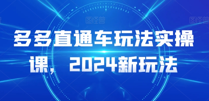 多多直通车玩法实操课，2024新玩法-赚金金-技能学习分享