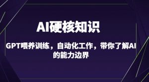 AI硬核知识-GPT喂养训练,自动化工作,带你了解AI的能力边界(10节课)-赚金金-技能学习分享