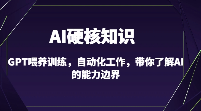 AI硬核知识-GPT喂养训练,自动化工作,带你了解AI的能力边界(10节课)-赚金金-技能学习分享