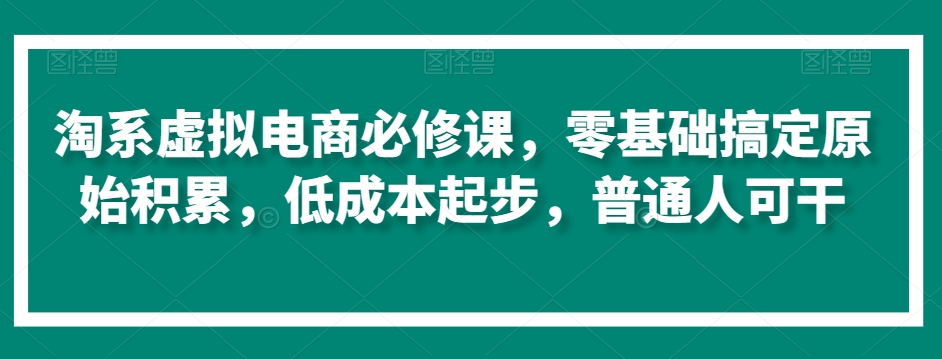 淘系虚拟电商必修课，零基础搞定原始积累，低成本起步，普通人可干-赚金金-技能学习分享