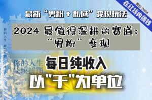 【私域流量最值钱】把“男粉”流量打到手,你便有无数种方法可以轻松变现,每日纯收入以“千”为单位-赚金金-技能学习分享