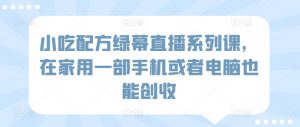 小吃配方绿幕直播系列课,在家用一部手机或者电脑也能创收-赚金金-技能学习分享