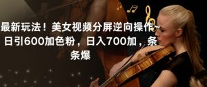 最新玩法!美女视频分屏逆向操作~日引600加色粉,日入700加,条条爆【揭秘】-赚金金-技能学习分享