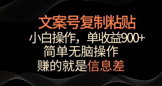 文案号掘金，简单复制粘贴，小白操作，单作品收益900+【揭秘】-赚金金-技能学习分享