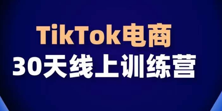 TikTok电商带货30天线上课，不可错过的全球流量洼地！-赚金金-技能学习分享