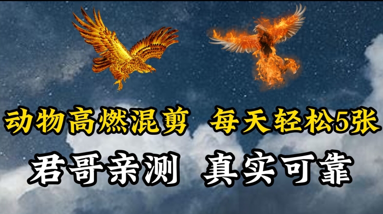 动物超燃混剪，每天轻松5张，剪辑简单大家爱看【揭秘】-赚金金-技能学习分享