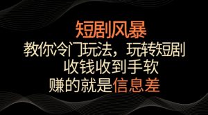 短剧风暴,教你冷门玩法,玩转短剧,收钱收到手软【揭秘】-赚金金-技能学习分享