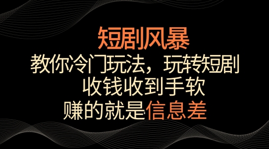 短剧风暴，教你冷门玩法，玩转短剧，收钱收到手软【揭秘】-赚金金-技能学习分享