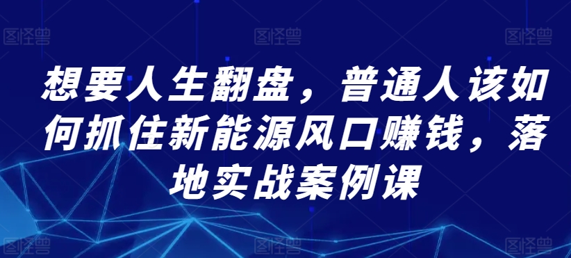 想要人生翻盘，普通人该如何抓住新能源风口赚钱，落地实战案例课-赚金金-技能学习分享