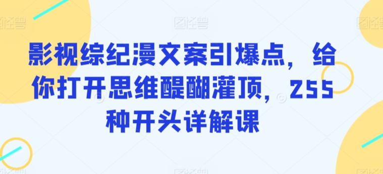 影视综纪漫文案引爆点，给你打开思维醍醐灌顶，255种开头详解课-赚金金-技能学习分享