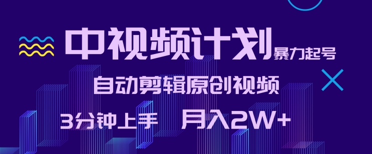 中视频计划暴力起号，自动剪辑原创视频，3分钟上手，月入2W+【揭秘】-赚金金-技能学习分享