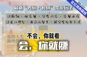 2024,“男粉+私域”还是最耐造、最赚、最轻松、最愉快的变现方式【揭秘】-赚金金-技能学习分享
