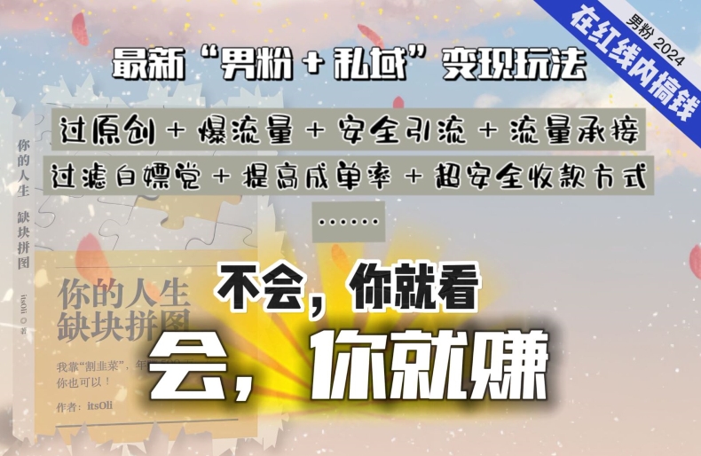 2024，“男粉+私域”还是最耐造、最赚、最轻松、最愉快的变现方式【揭秘】-赚金金-技能学习分享