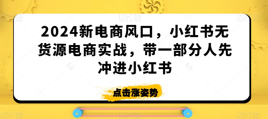 2024新电商风口，小红书无货源电商实战，带一部分人先冲进小红书-赚金金-技能学习分享