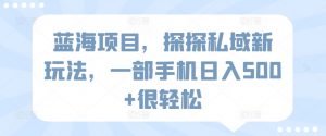 蓝海项目,探探私域新玩法,一部手机日入500+很轻松【揭秘】-赚金金-技能学习分享